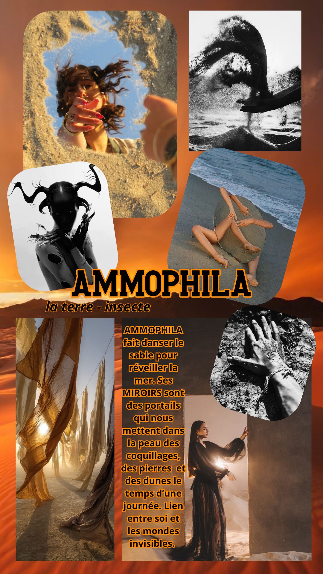 Ammophila